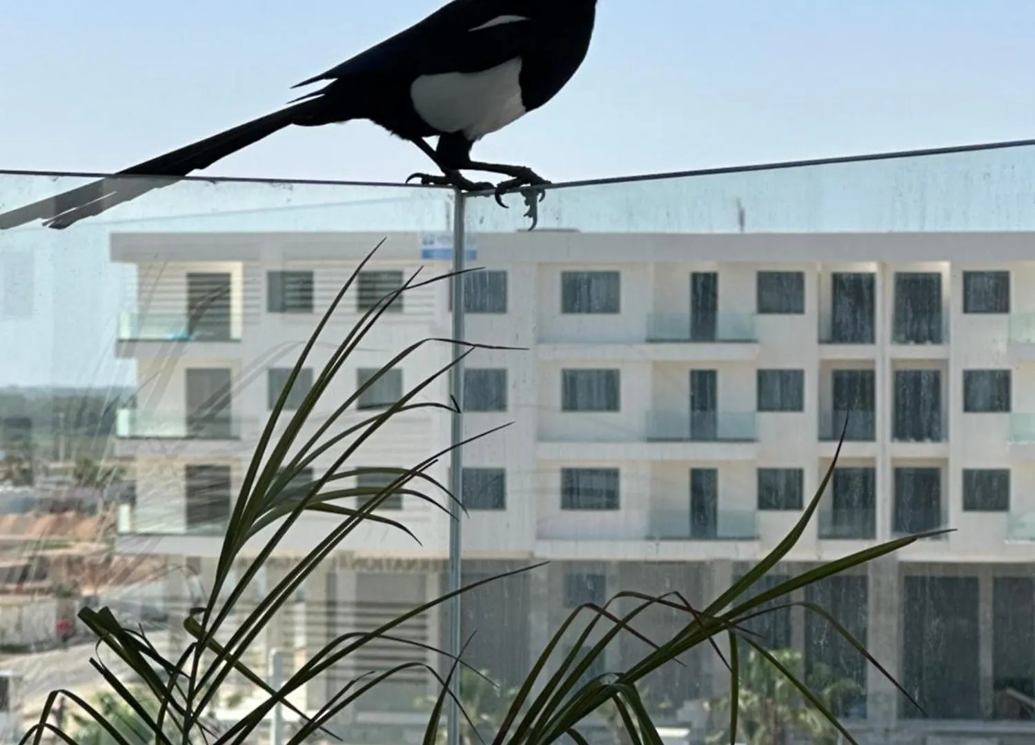 Appartement Agadir Bay 2 モロッコ